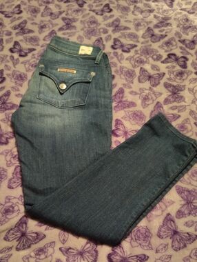 Hudson Jeans Women's Skinny - Dark Blue Wash